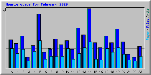 Hourly usage for February 2020